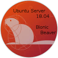 Ubuntu Server 18.04 LTS Bionic Beaver